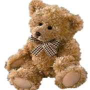 Cuddly Teddy